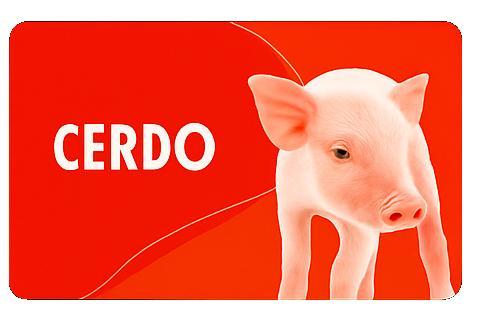 CERDO