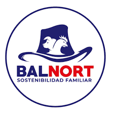 Logo Balnort