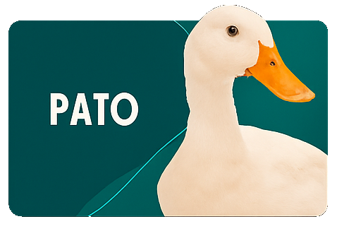 PATO