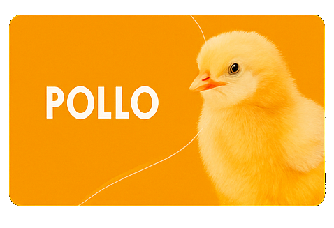 POLLO